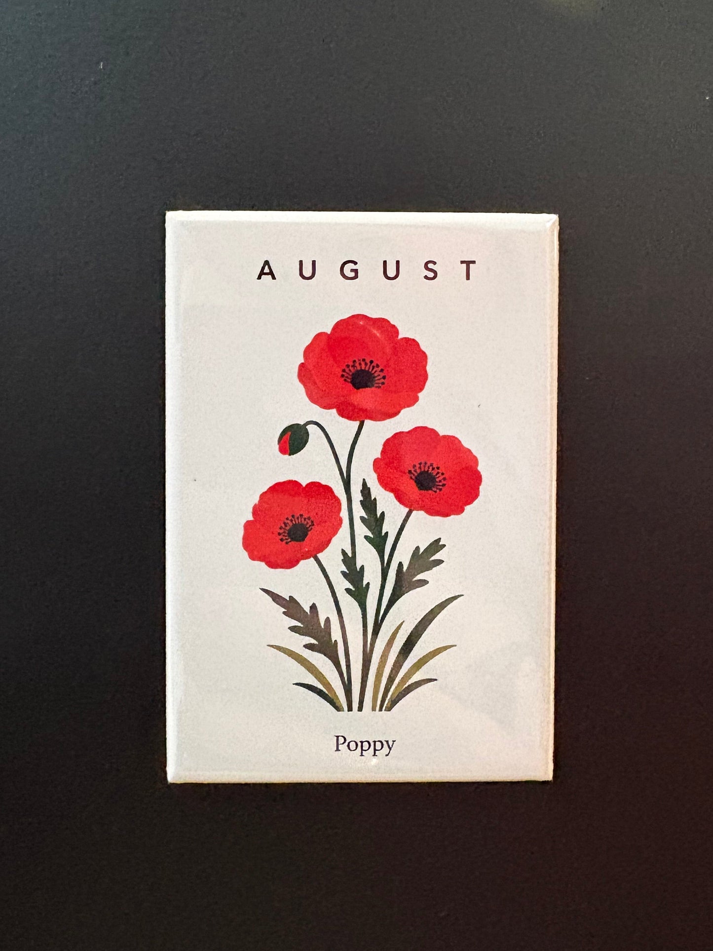 August - Birth Month Flowers - 2"x3" Magnet