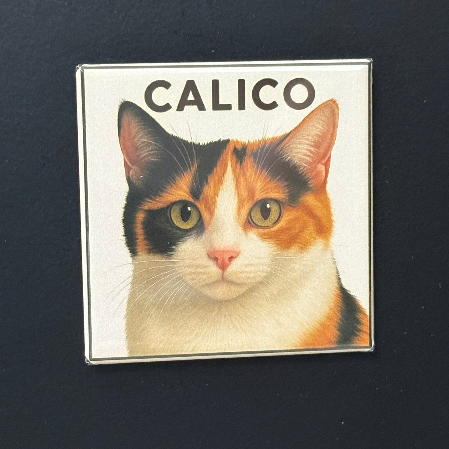 Calico - Animals - 2"x2" Magnet