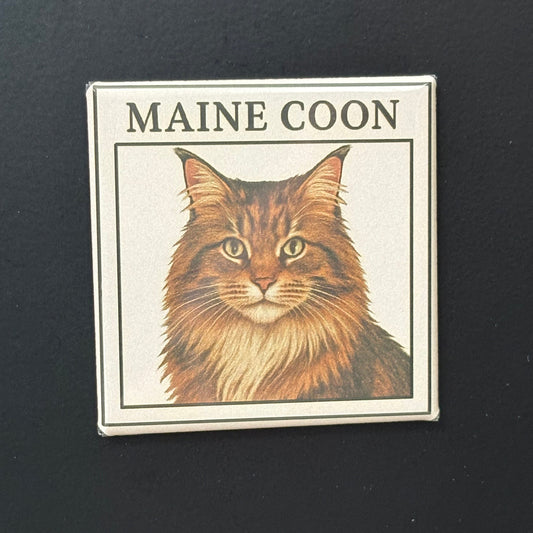 Maine Coon - Animals - 2"x2" Magnet