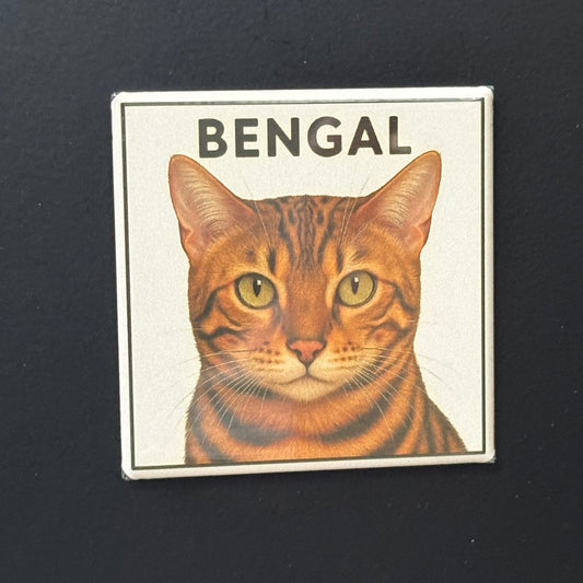 Bengal - Animals - 2"x2" Magnet