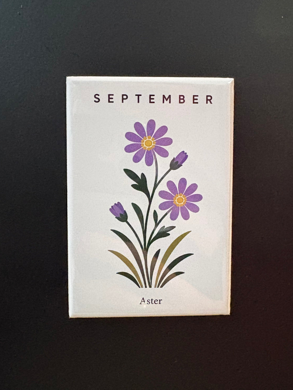 September - Birth Month Flowers - 2"x3" Magnet