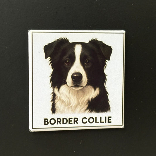 Border Collie - Animals - 2"x2" Magnet