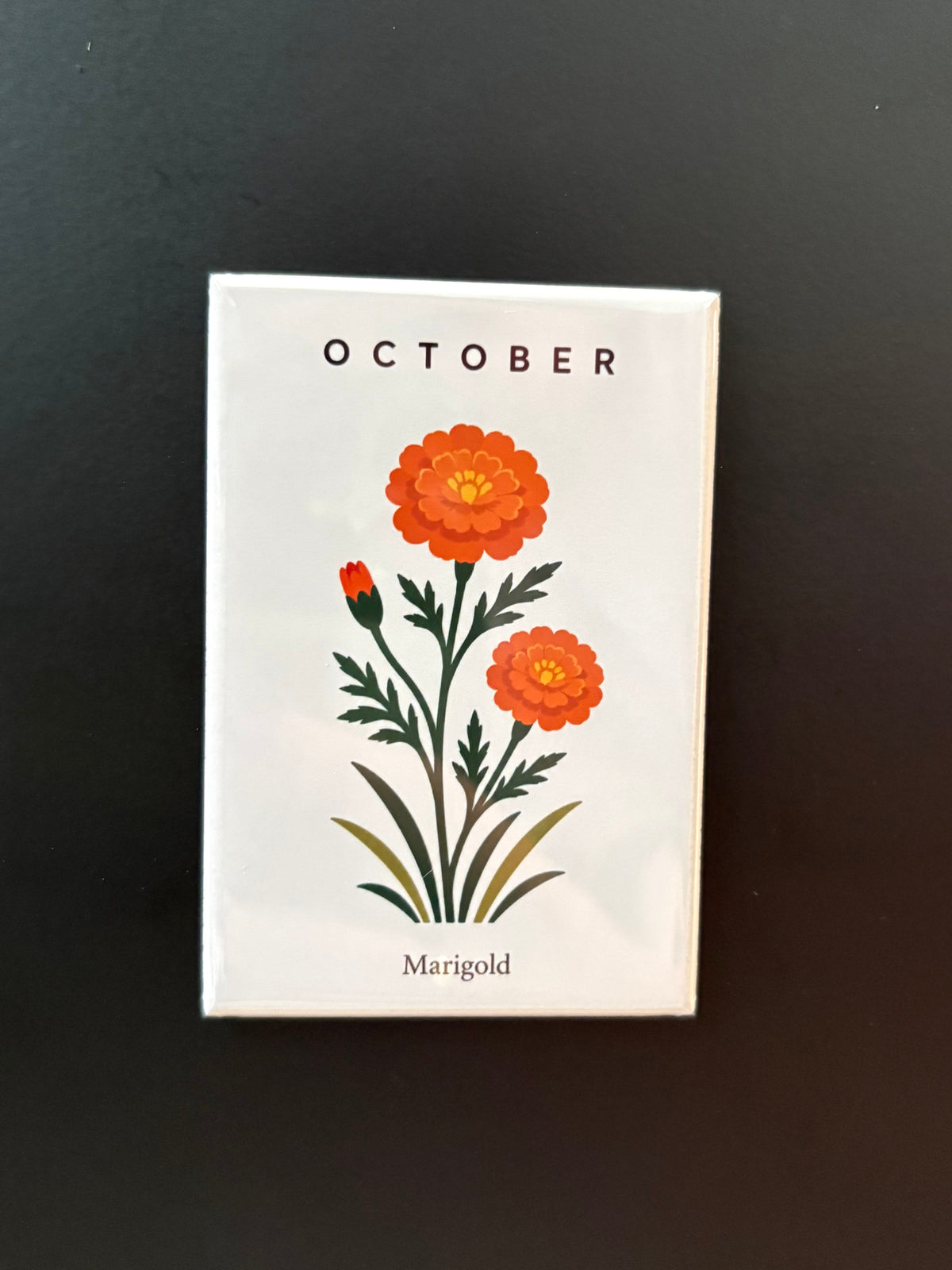 October - Birth Month Flowers - 2"x3" Magnet