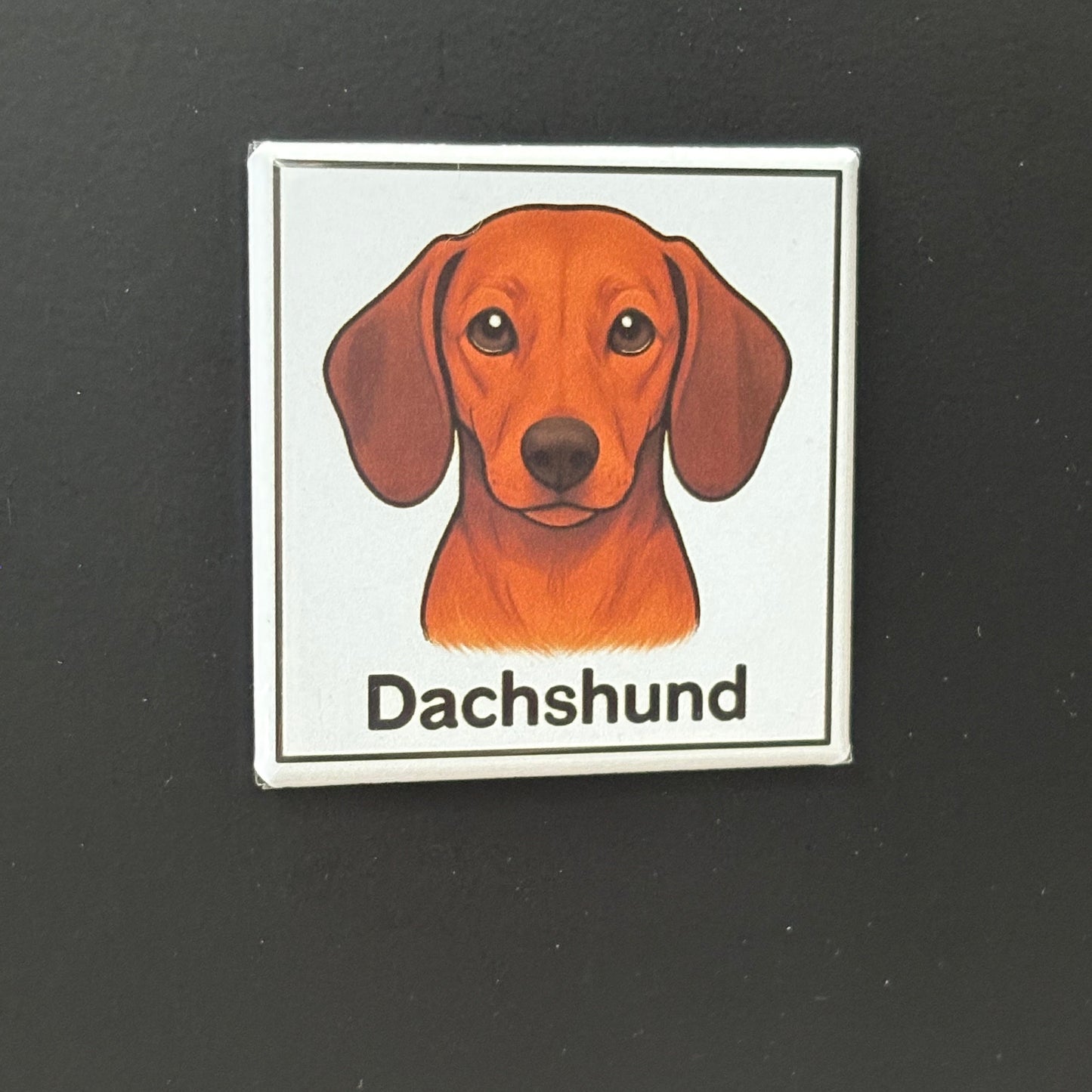 Dachshund - Animals - 2"x2" Magnet
