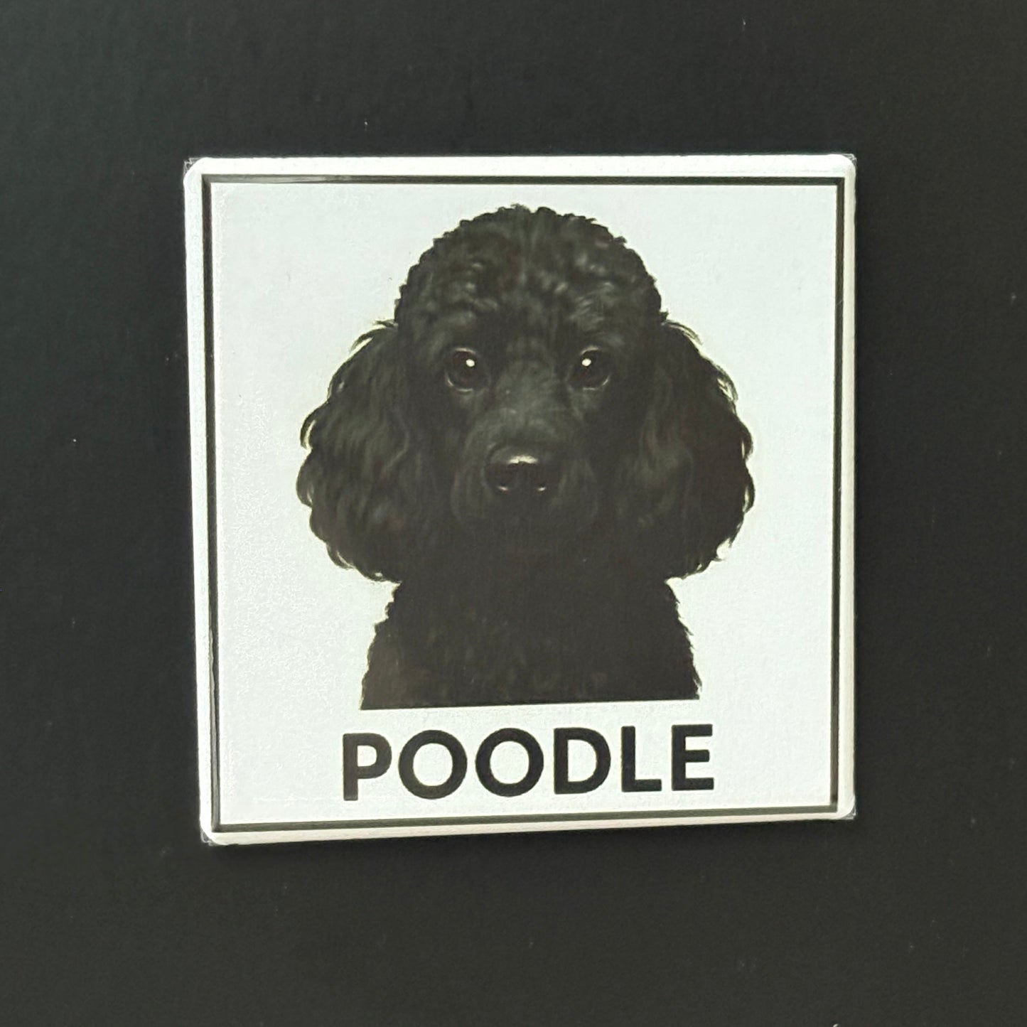 Poodle - Animals - 2"x2" Magnet