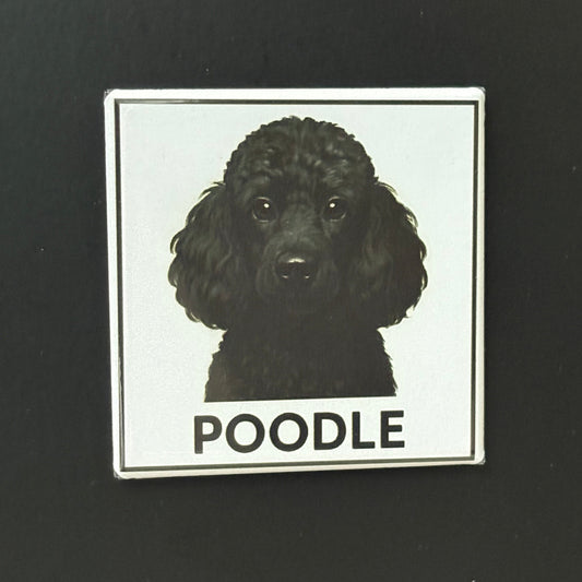 Poodle - Animals - 2"x2" Magnet