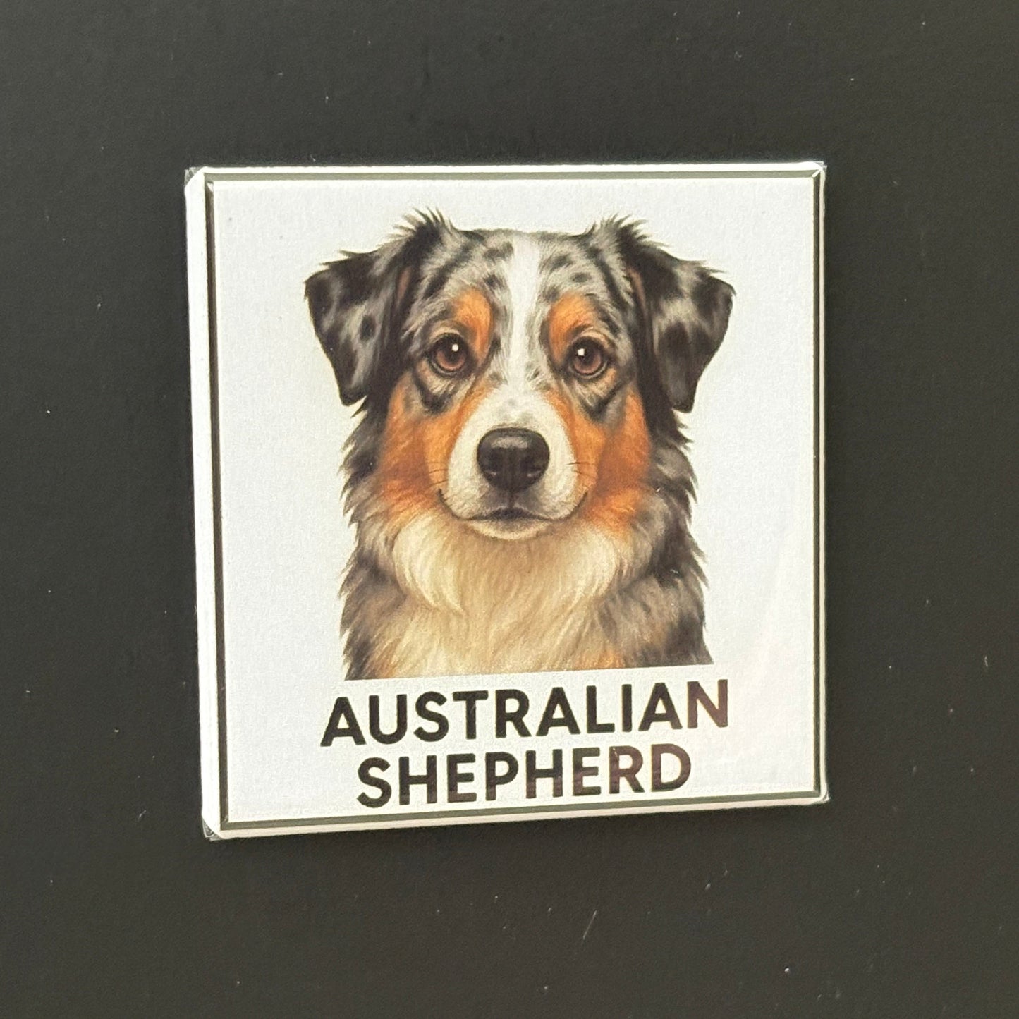 Australian Shepherd - Animals - 2"x2" Magnet