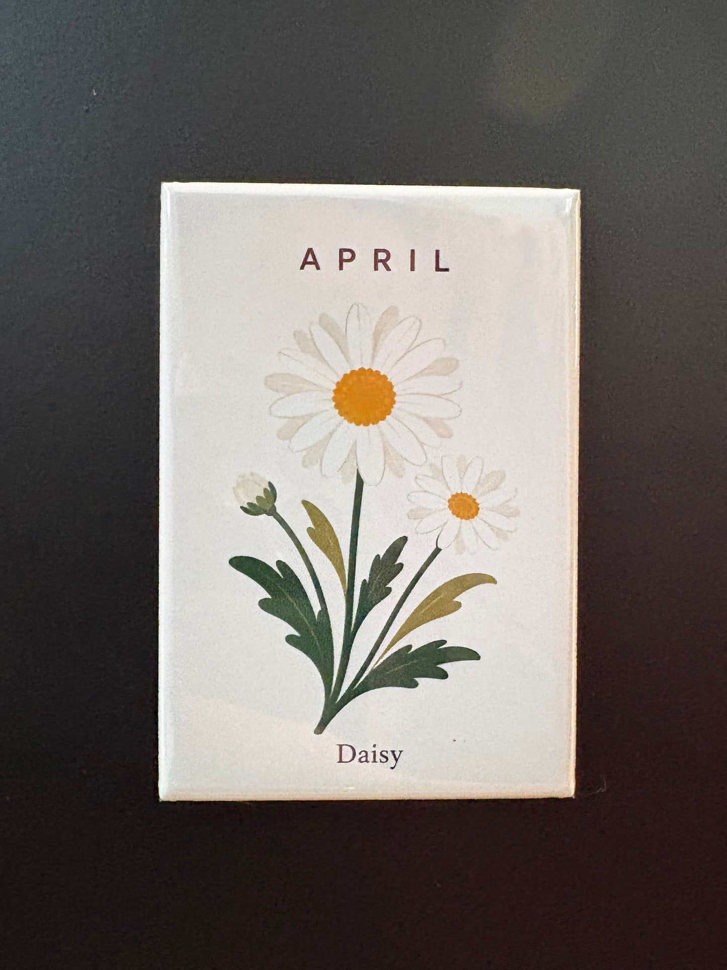 April - Birth Month Flowers - 2"x3" Magnet