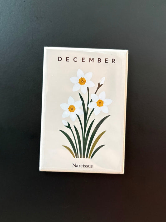 December - Birth Month Flowers - 2"x3" Magnet