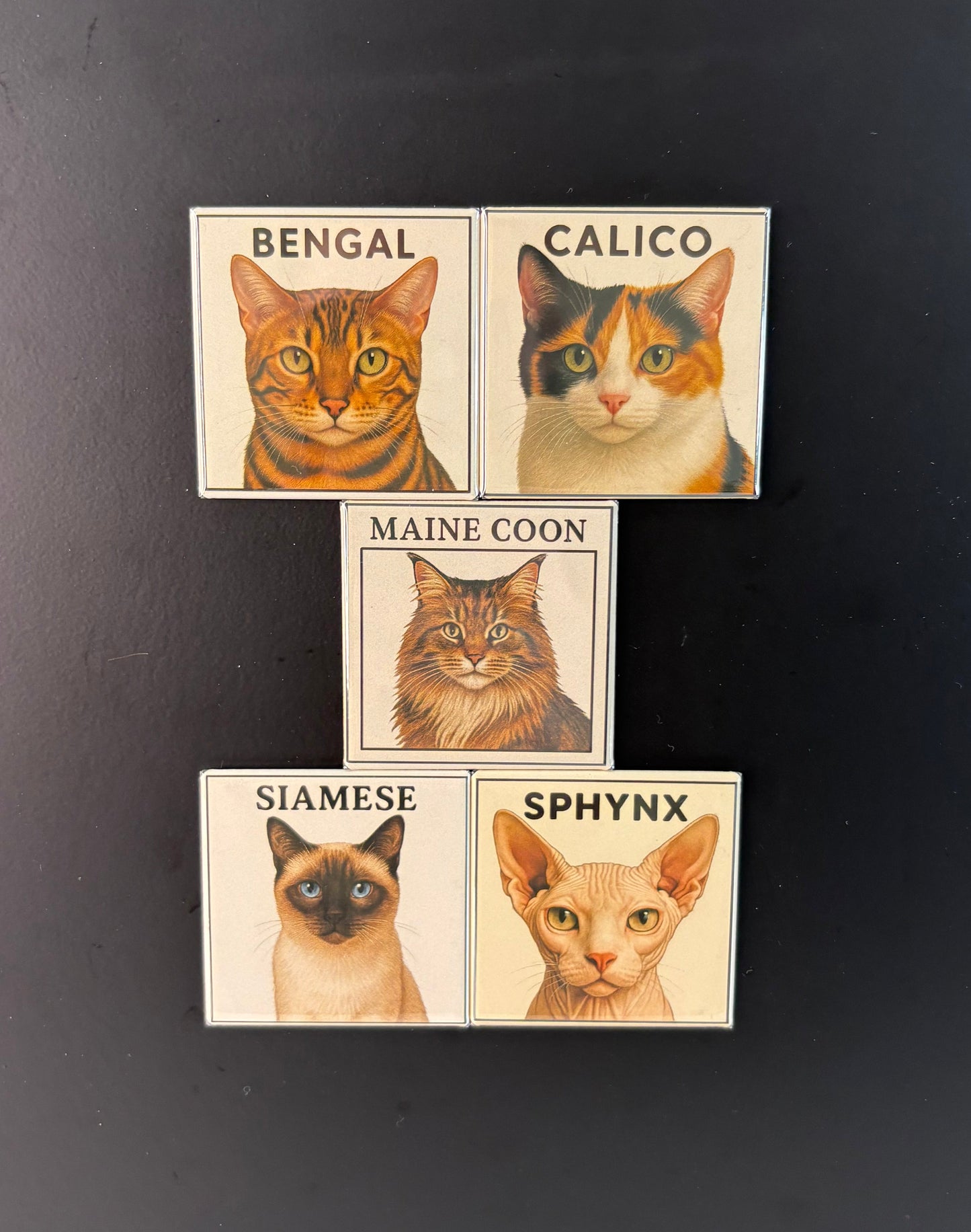 Cat Magnets