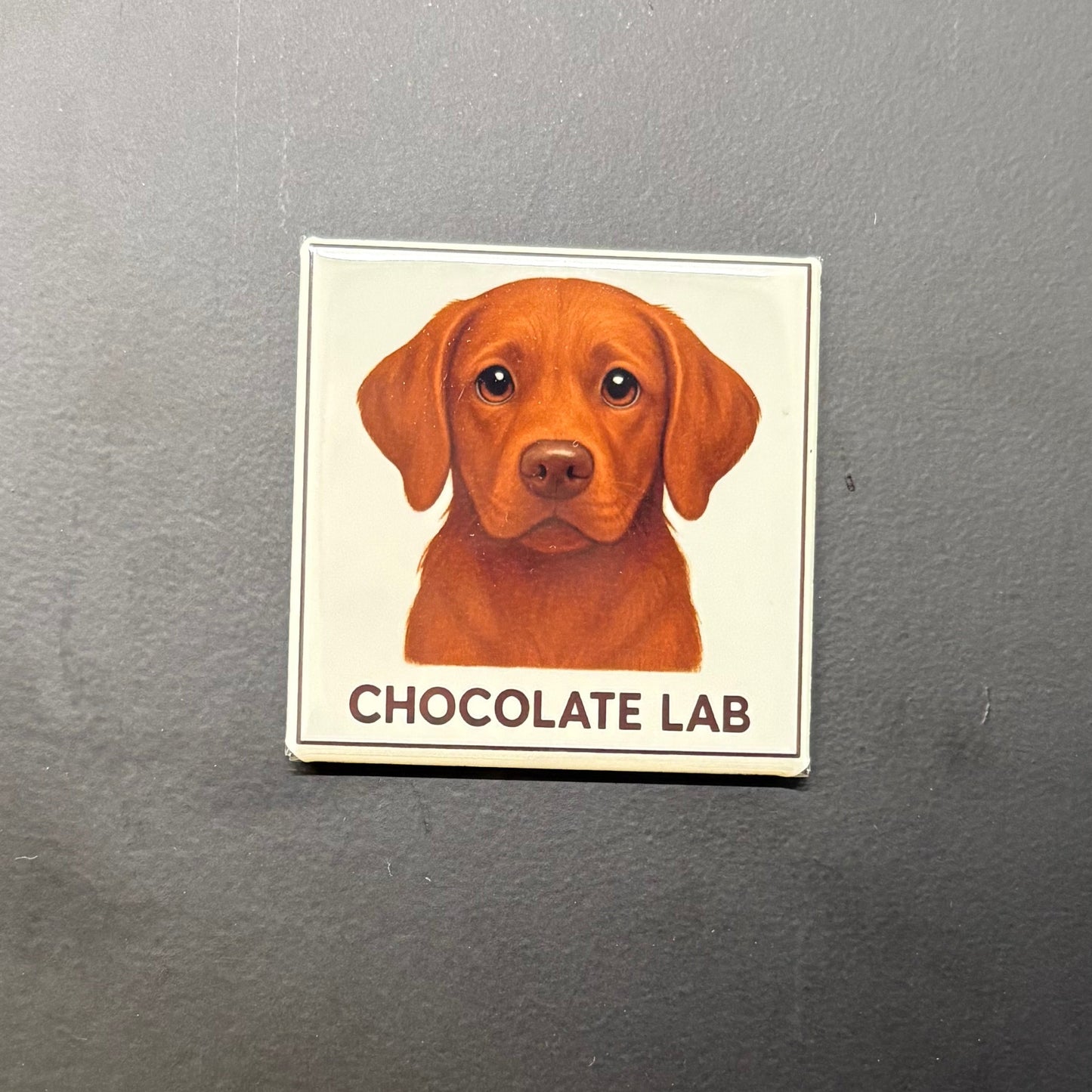Chocolate Lab - Animals - 2"x2" Magnet