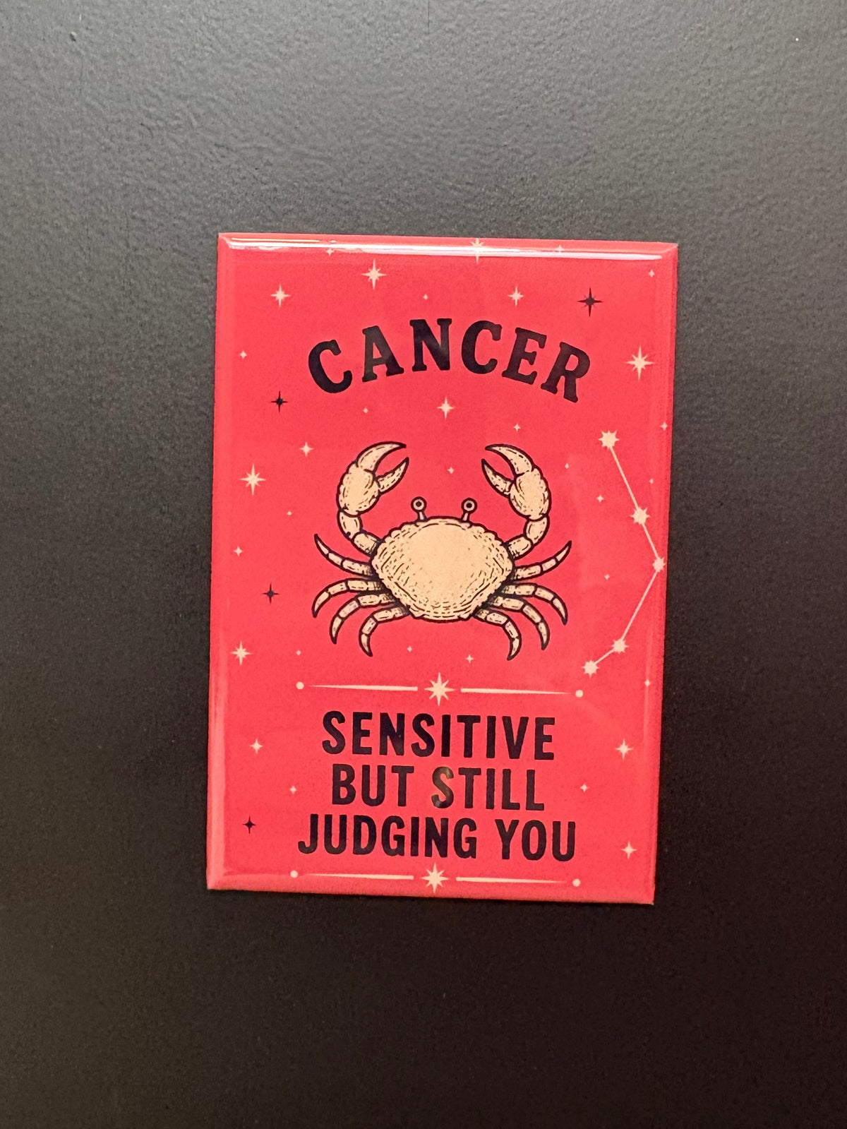 Cancer - Unhinged Zodiac Signs - 2"x3" Magnet
