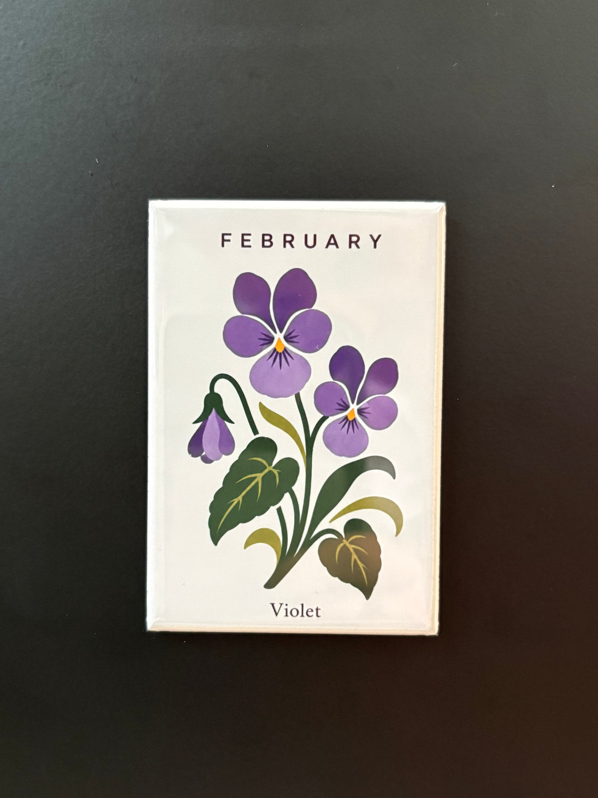 February - Birth Month Flowers - 2"x3" Magnet