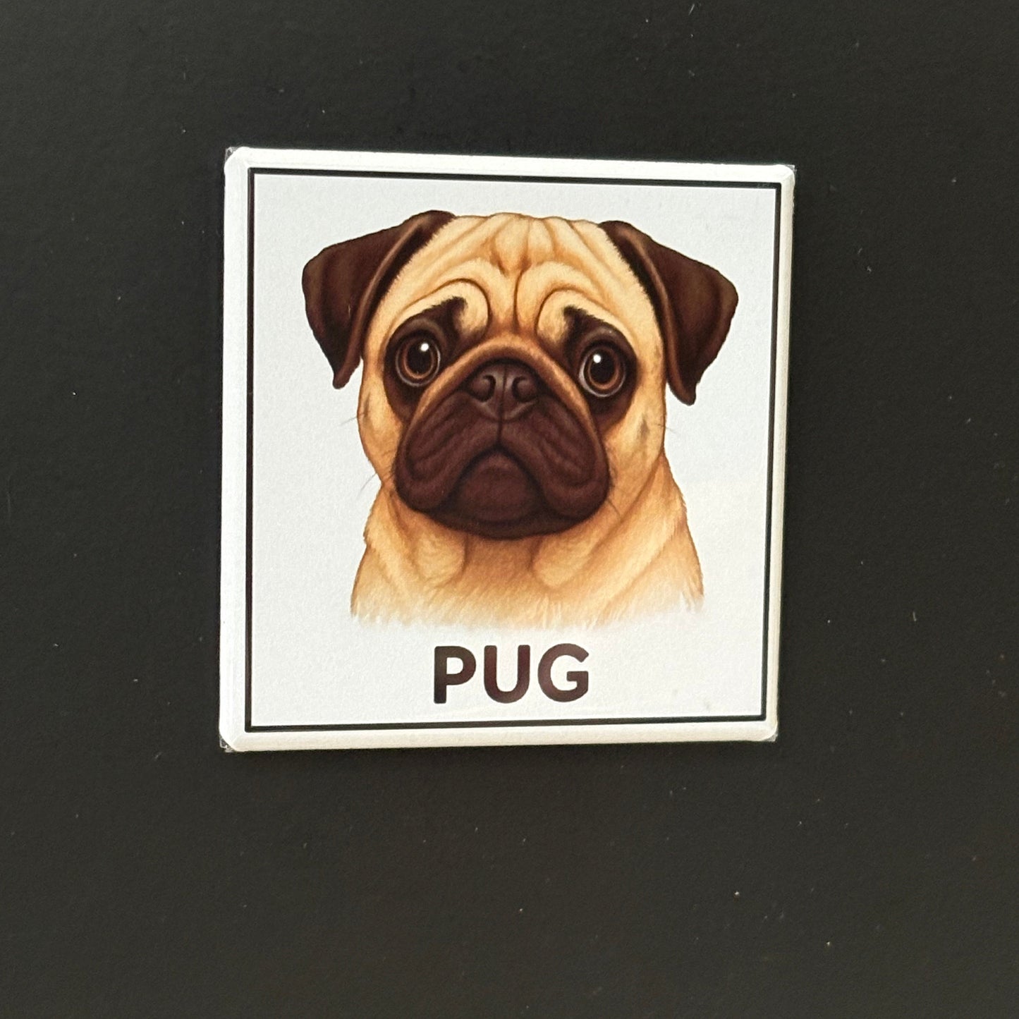 Pug - Animals - 2"x2" Magnet