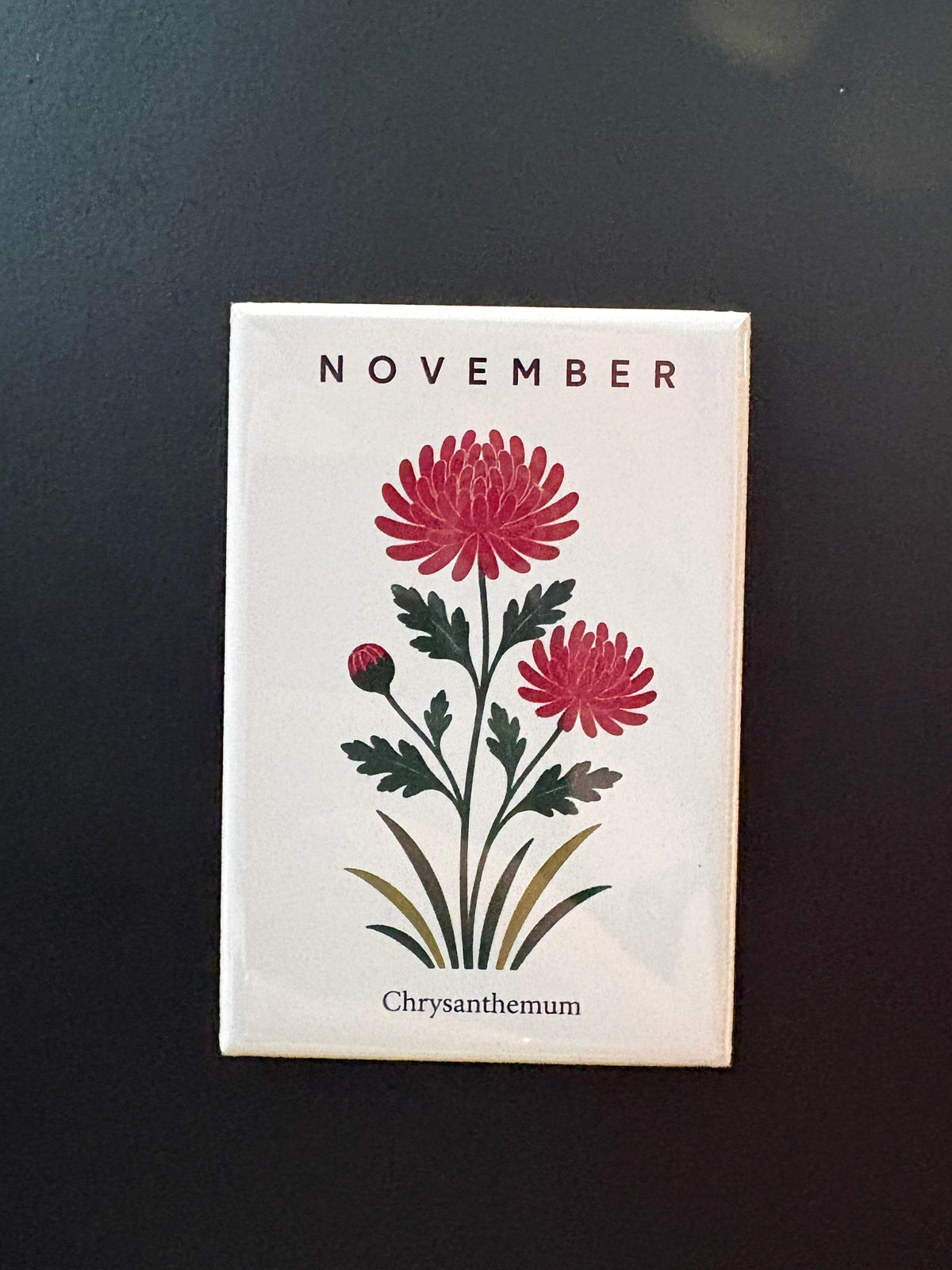 November - Birth Month Flowers - 2"x3" Magnet