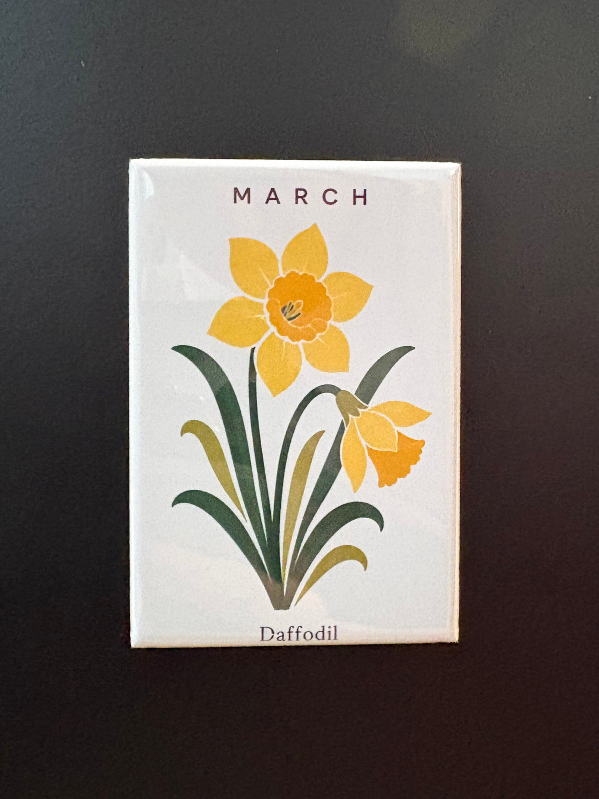 March - Birth Month Flowers - 2"x3" Magnet