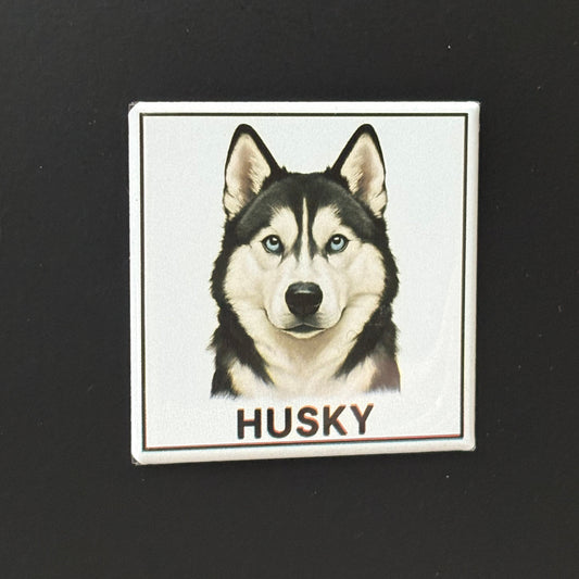 Husky - Animals - 2"x2" Magnet